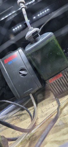 Eheim filter and pump - filter,