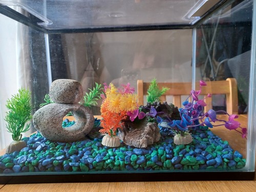 Fish tank - tank(, pump)